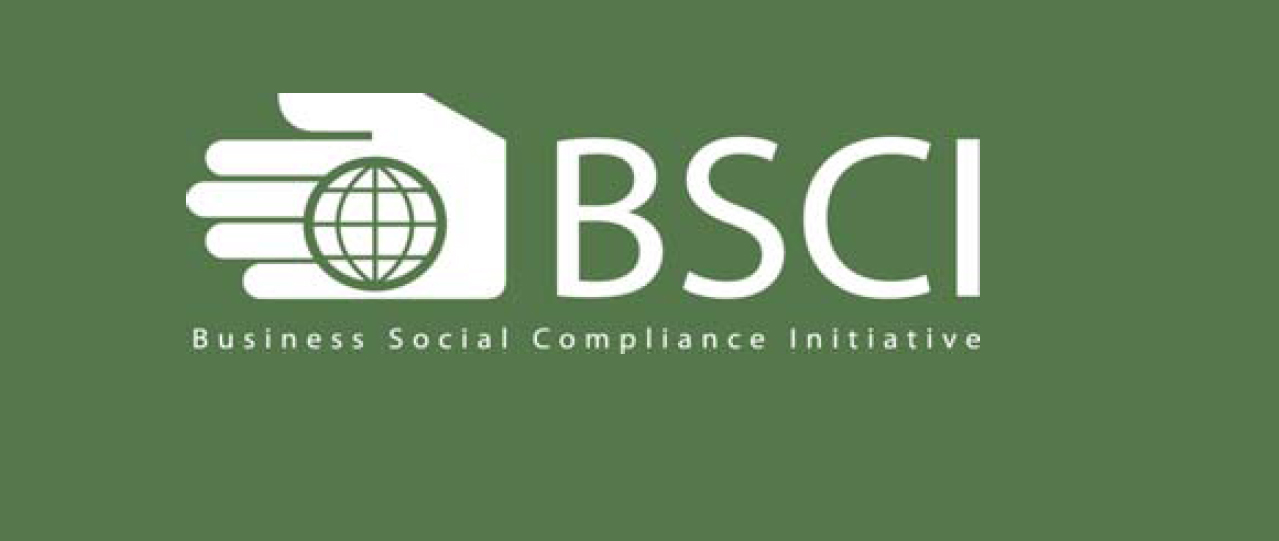 BSCI Logo